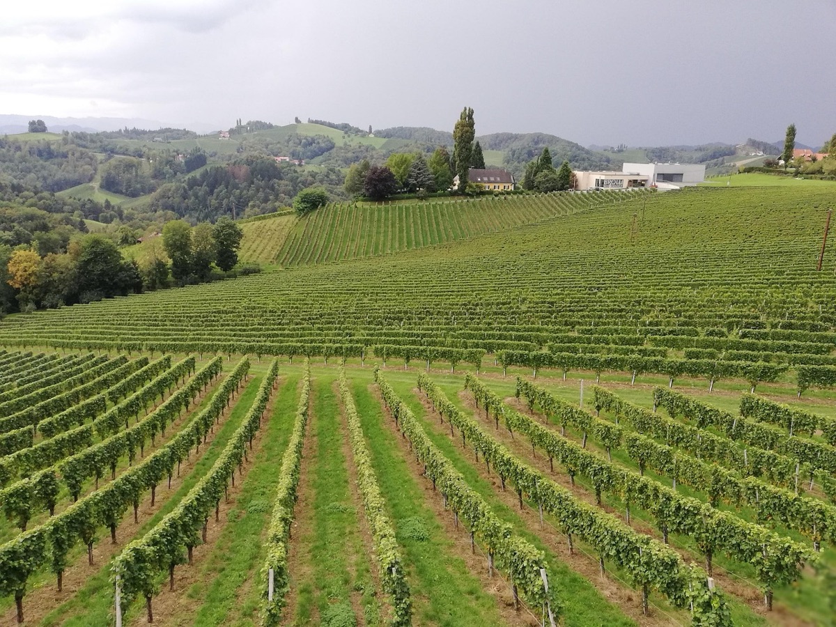 Wine region map