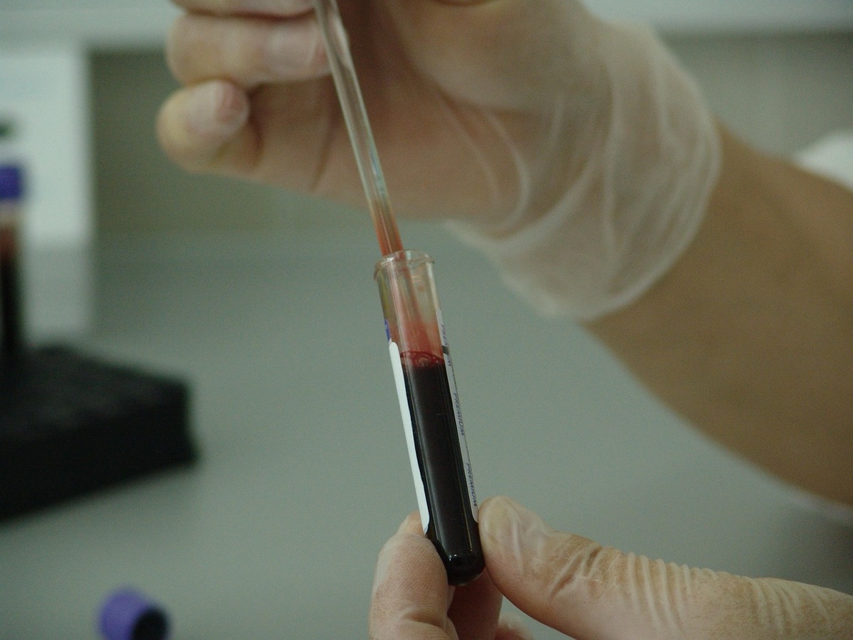 investigacion cientifica con vino