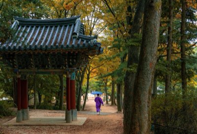 술의 개성을 결정하는 테루아와 전통의 기록 살펴보기